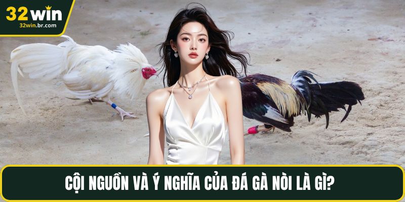 Cội nguồn và ý nghĩa của đá gà nòi là gì?