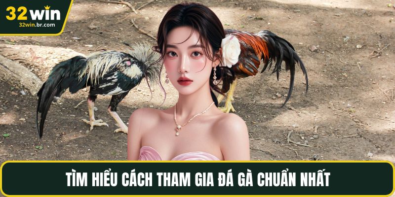 Tìm hiểu cách tham gia đá gà chuẩn nhất