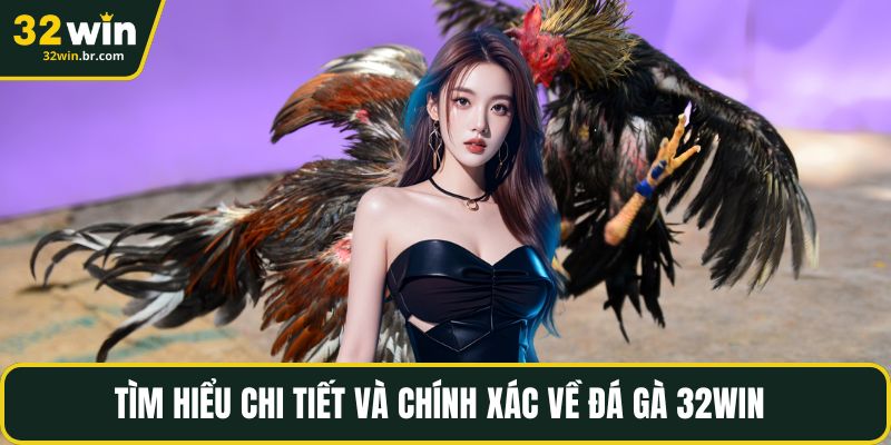 Tìm hiểu chi tiết và chính xác về đá gà 32WIN