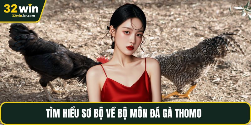 Tìm hiểu sơ bộ về bộ môn đá gà thomo